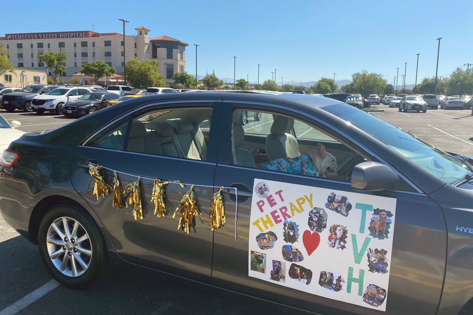 bringing cheer to the hospital staff